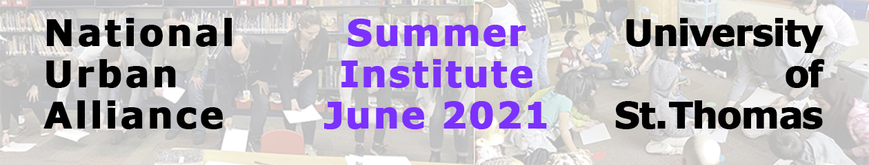 NUA Summer Institute 2021